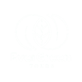 cropped evergreen 1.png
