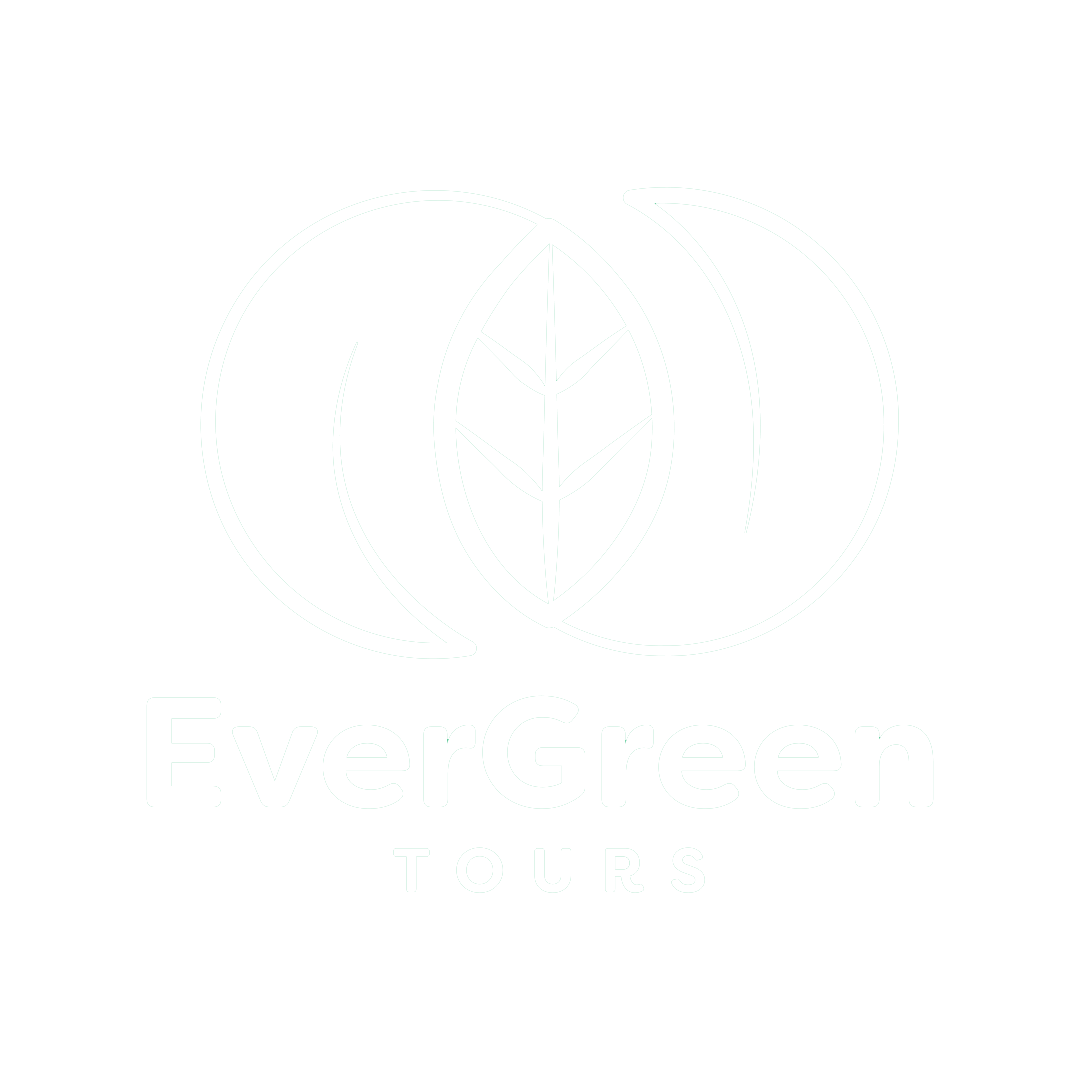 cropped evergreen 1.png